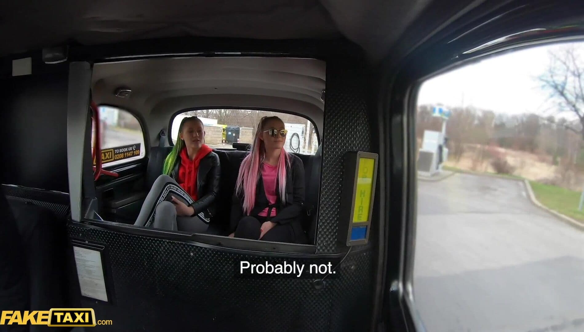 Fake Taxi Step Sisters Lady Zee & Sandra Zee Fuck Euro Cabbie